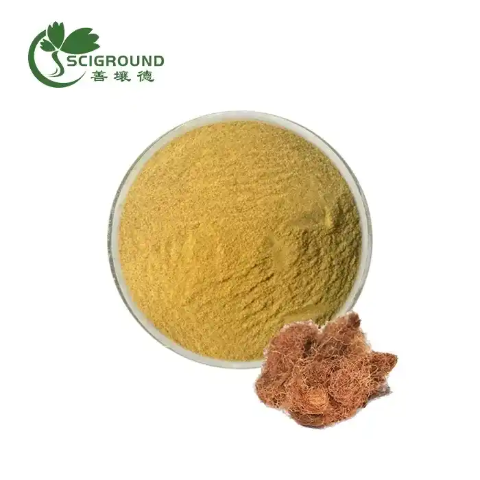 Corn Silk Extract Powder